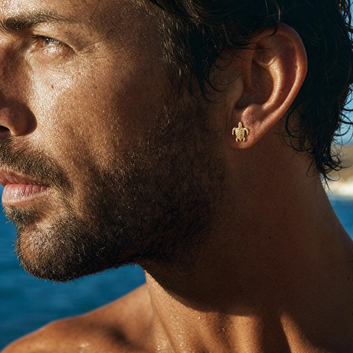 Sea Turtle Gold Stud Earrings