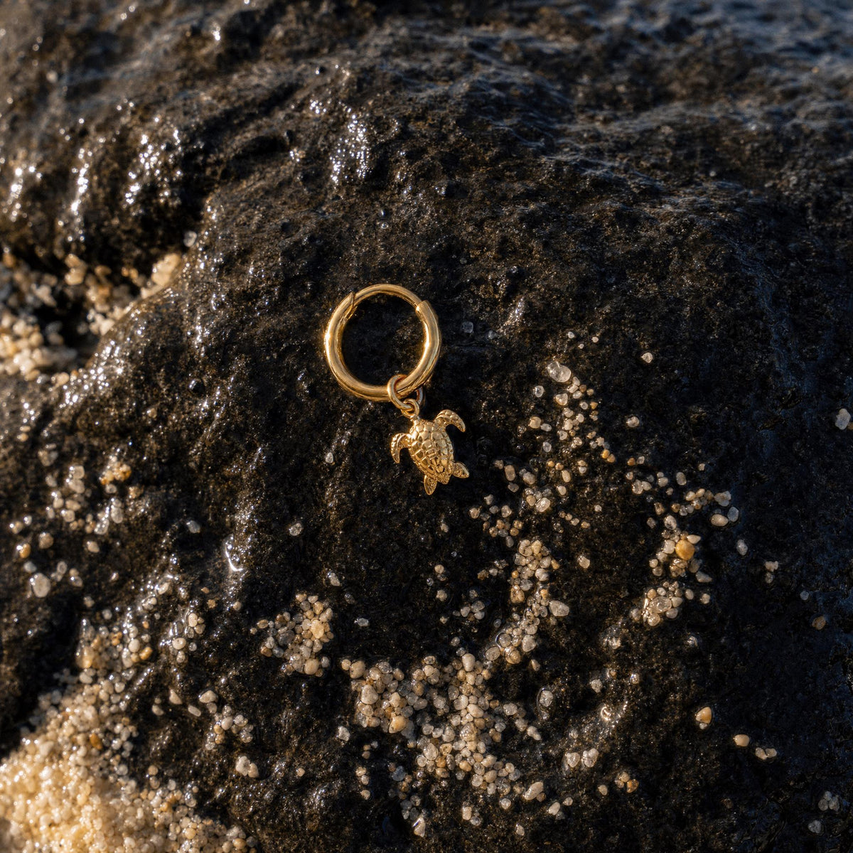 Sea Turtle Gold Vermeil Huggie Earrings